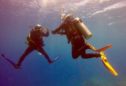 Sindbad Dive Club Aqaba نادي سندباد لرياضة الغوص
