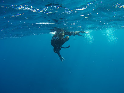 Jordan Freedivers