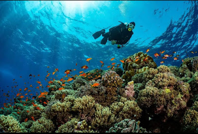 Octopus diving center