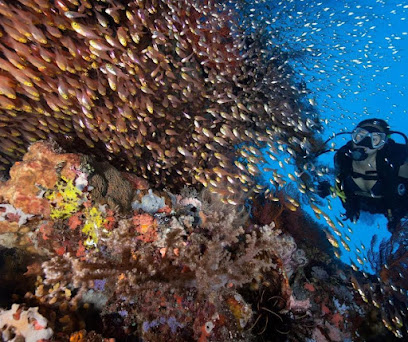 Aqaba Scuba Diving Jordan