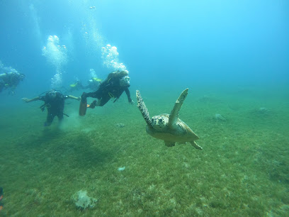 Nemo Dive Center