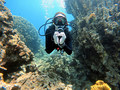 Aqaba Seahorse Dive Center