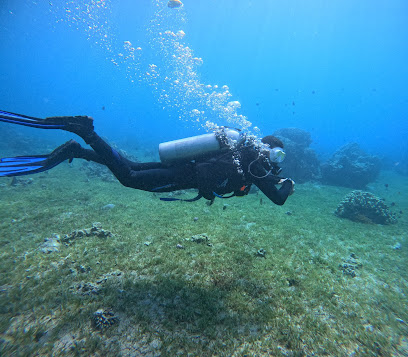 Aqaba Leaders dive center