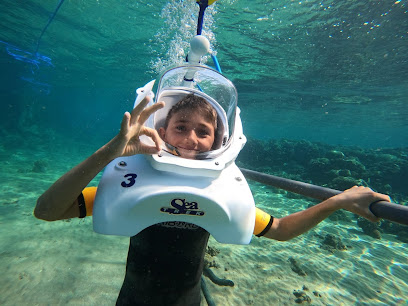 Royal Diving Club Aqaba - نادي الغوص الملكي العقبه