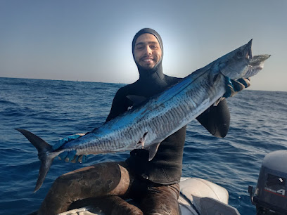 Elite freediving school