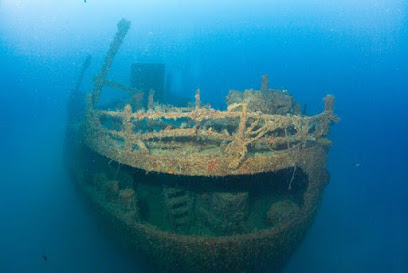 Let's Dive Academy