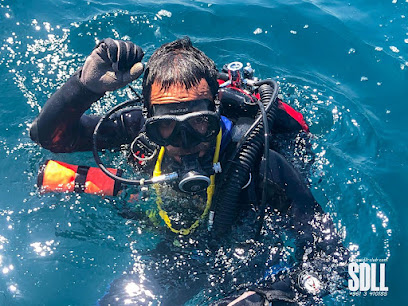 Scuba Diving Lovers Lebanon (SDLL)