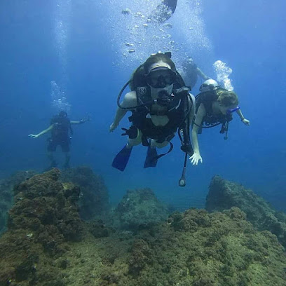 Narcosis Diving Facility - Scuba Diving Center Beirut Lebanon