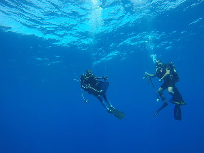 Dive N seeK