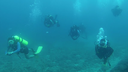 Marine Diving Academy