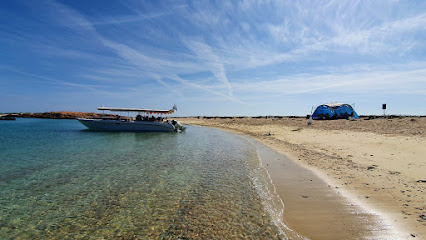 Alrabdan Diving(Diving in Oman ,dive oman,Diving in Muscat,Dimaniyat islands ,Snorkelling Trip ,Dimaniyat Diving )