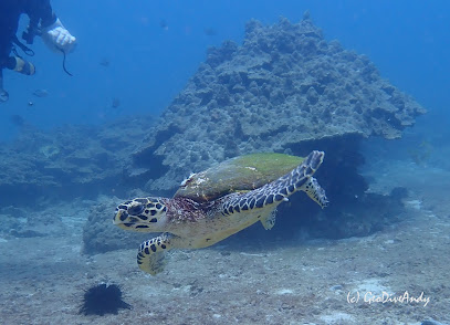 Gulf Divers - Diving Center in Muscat