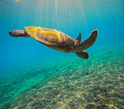 Mobula Diving And Snorkeling Center