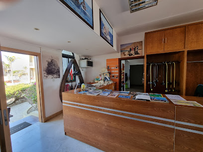 The Ocean Diving Center