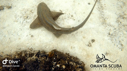 Omanta Scuba Diving Academy