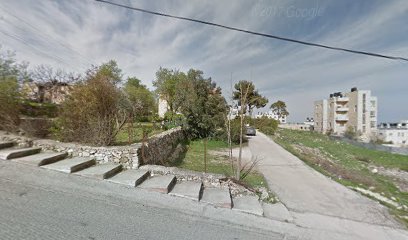 شركة سياحية لتنظيم رحلات غوص السكوبا