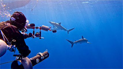 Jeddah Tec Diver
