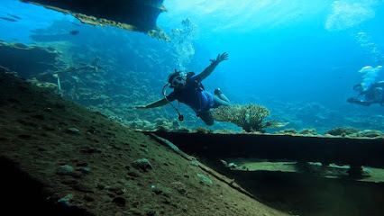 blue deep diver - center