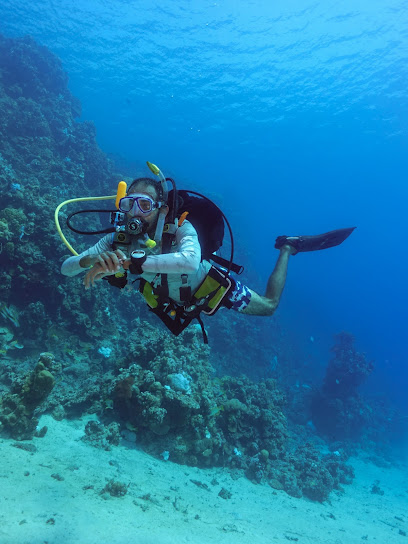 Diving Bubbles