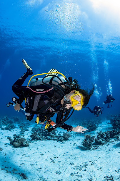 Red Sea Citizen Dive Club