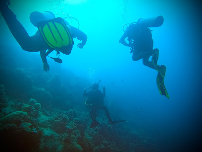 Natlus Divers