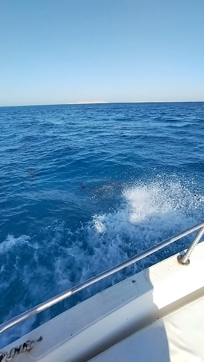 Umluj diver center boat location