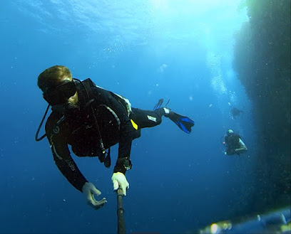 yanbu diver