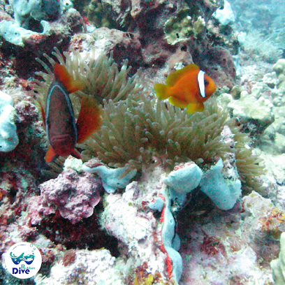 Rubban Dive- ربان الغوص