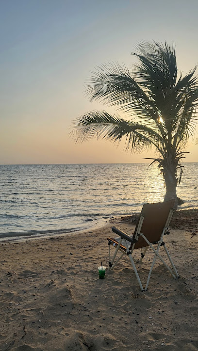 شاطئ باراكودا
