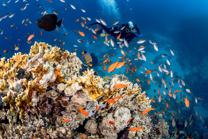 Corals and shells center مركز مرجان وصدف
