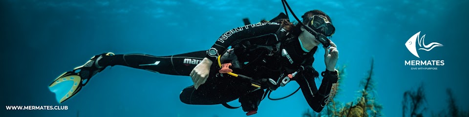 Future Experts Diving School - مدرسة خبراء المستقبل للغوص