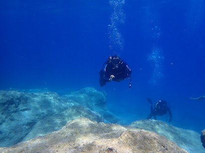 Oceanids Dalış Merkezi