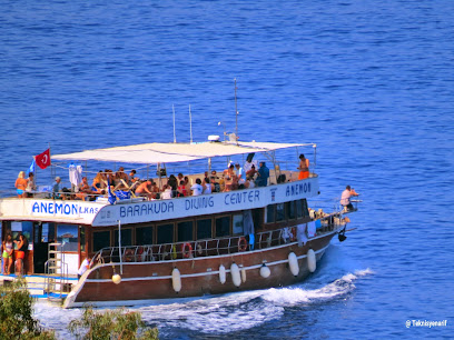 Anemon Diving Center