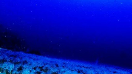Sea Dalış Merkezi