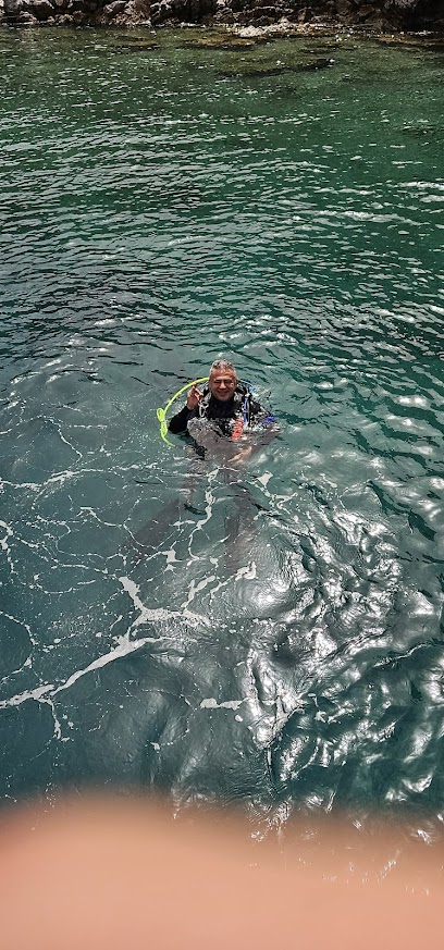 Venus Dive Bodrum Akyarlar