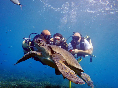 Side Azura | 5 Star PADI dive center