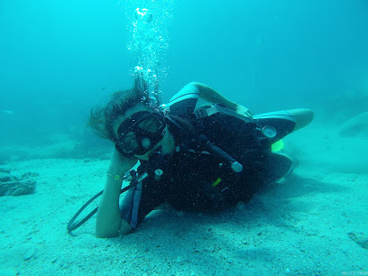 Neptune Dalış Okulu