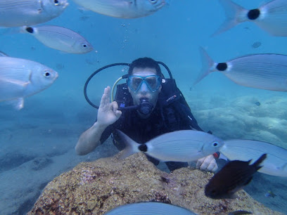 Amphora Dive Center