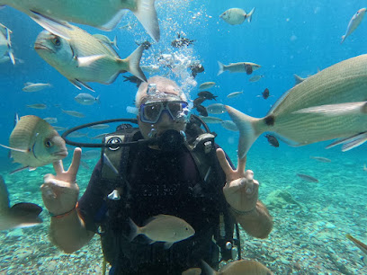 Divers Delight
