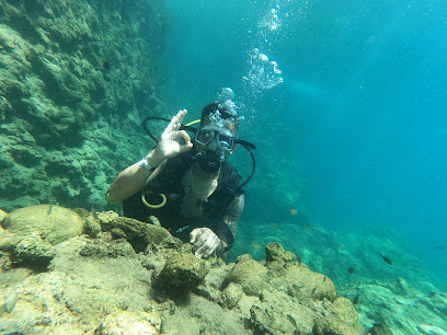 DENİS DIVING CENTER