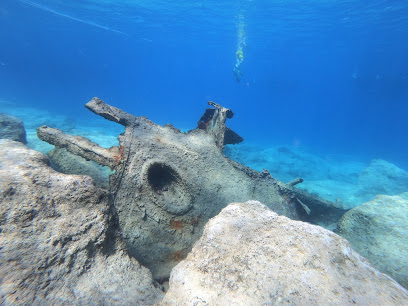 Orfoz Diving