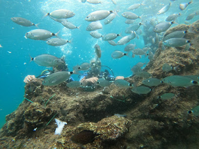 Antalya Dalış Scuba Diving