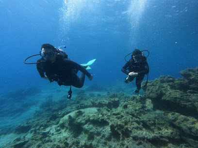 Datça UÇANBALIK DALIŞ MERKEZİ (PADI Dive Center S-27086 & SSI Dive Center) 1998'den beri