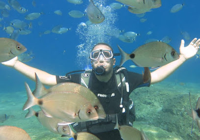 Fethiye Dalış DSD Doğadayız Scuba Diving
