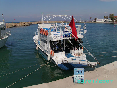 Silver Diving Center