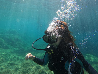 Guru Dive Dalış Eğitim Merkezi