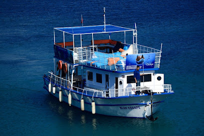Bodrum Car Rental Center in Odessa Car Hire