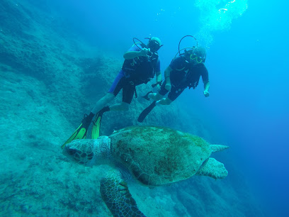 DiveEx Dive Center