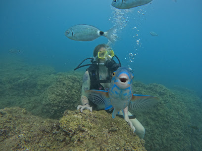 Side Deniz Feneri Diving Center | Tüplü Dalış - Scuba Dive CMAS TSSF PADI - Dalış Kursu - 1 2 3 Yıldız Sertifika
