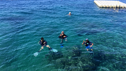Antalya Sea Leon Diving Center